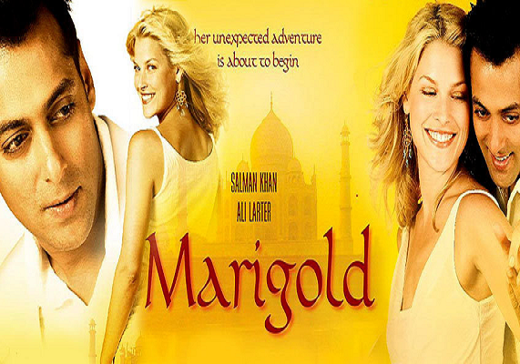 მარიგოლდი / Marigold